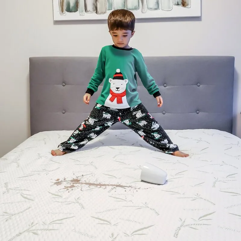 Bamboo Mattress Protector, Queen,
