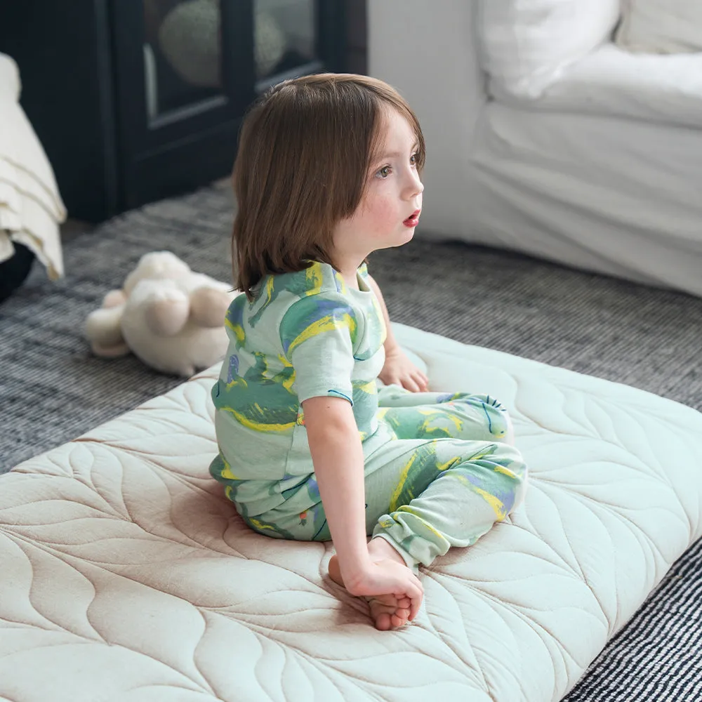 Futon Mattress