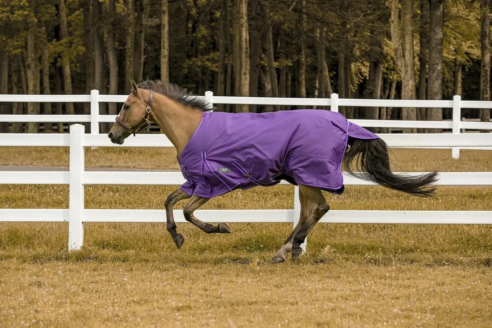 TuffRider 1200 D Comfy Winter Turnout Blanket Medium Weight 200 GSM Standard Neck